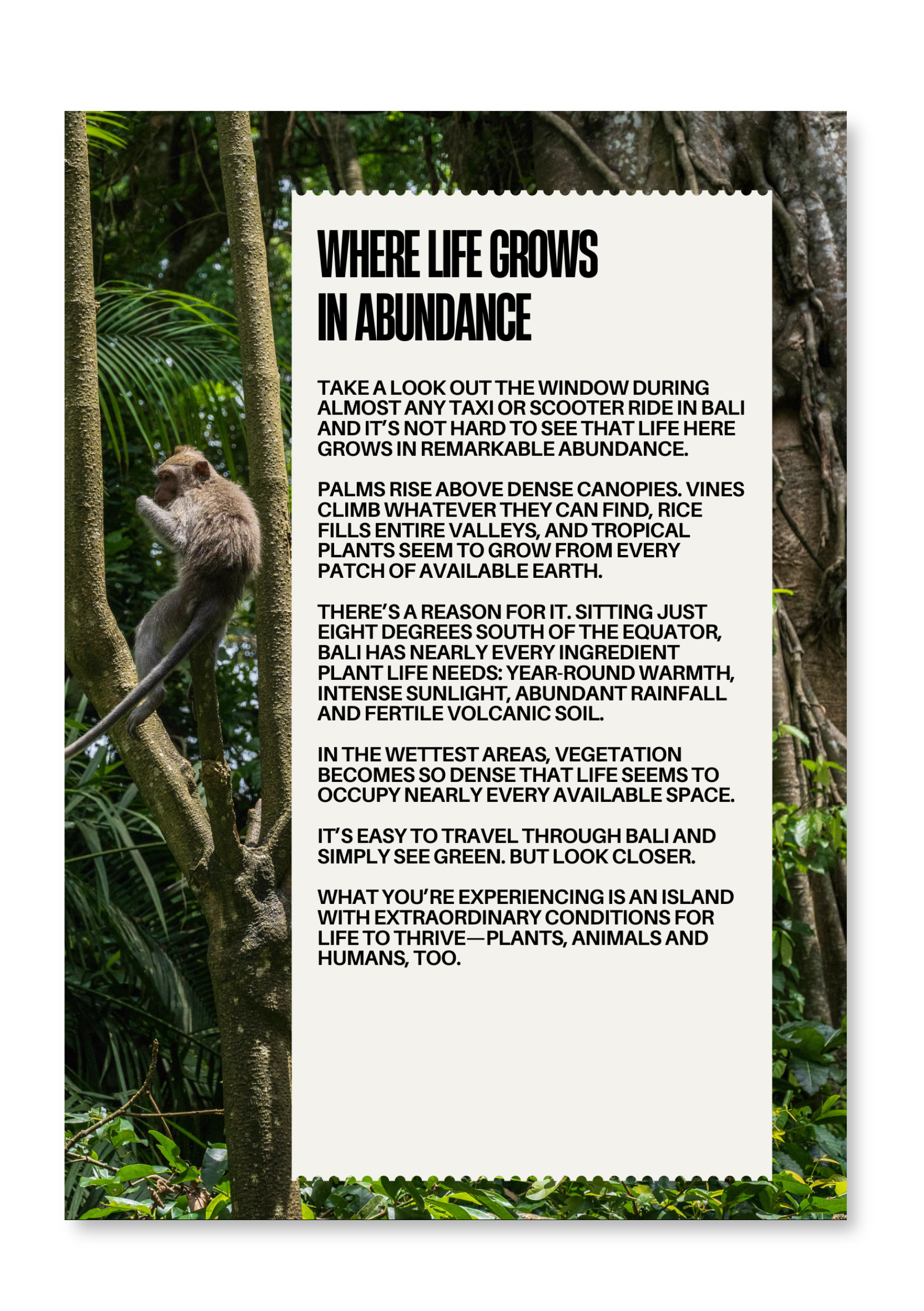 BALI - Travel Journal