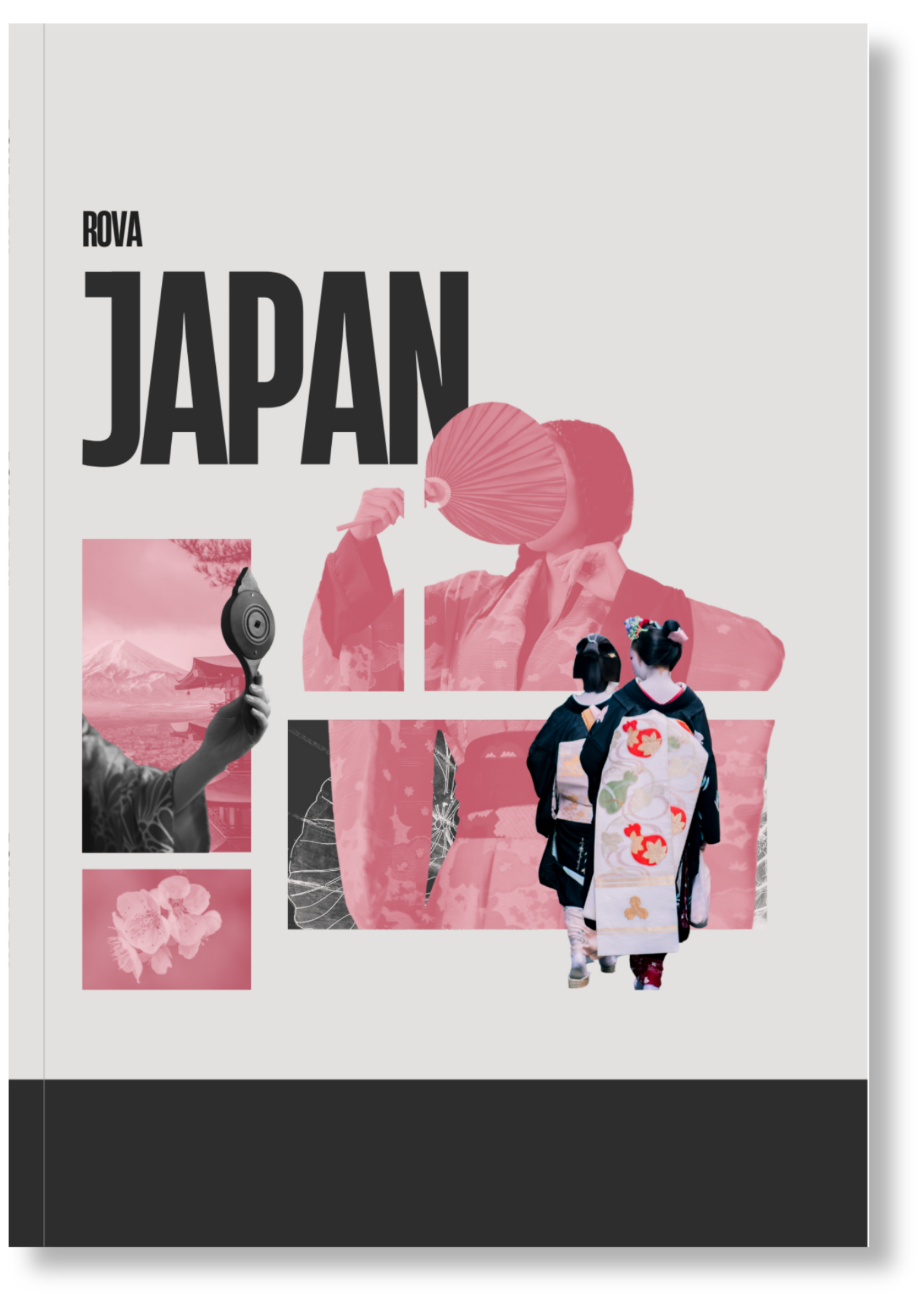 JAPAN - Travel Journal